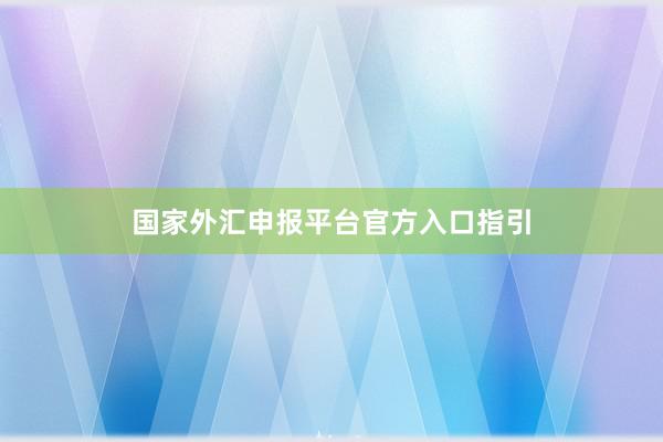 国家外汇申报平台官方入口指引