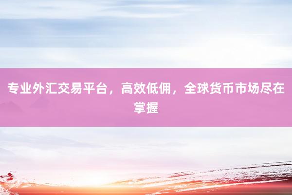 专业外汇交易平台，高效低佣，全球货币市场尽在掌握