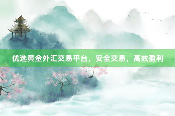 优选黄金外汇交易平台，安全交易，高效盈利