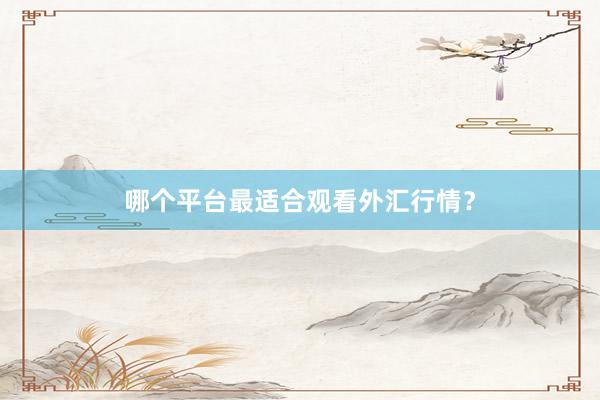 哪个平台最适合观看外汇行情？