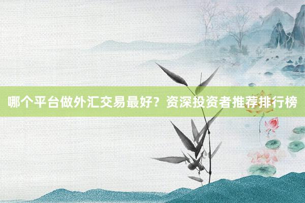 哪个平台做外汇交易最好？资深投资者推荐排行榜