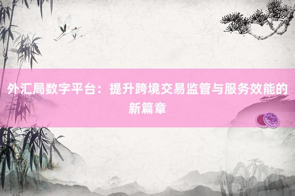 外汇局数字平台：提升跨境交易监管与服务效能的新篇章