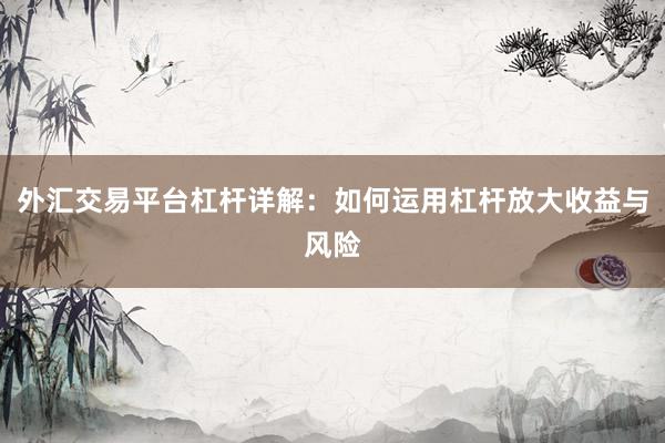 外汇交易平台杠杆详解：如何运用杠杆放大收益与风险