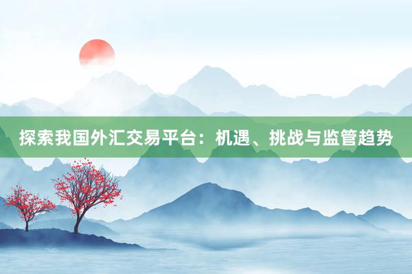 探索我国外汇交易平台：机遇、挑战与监管趋势