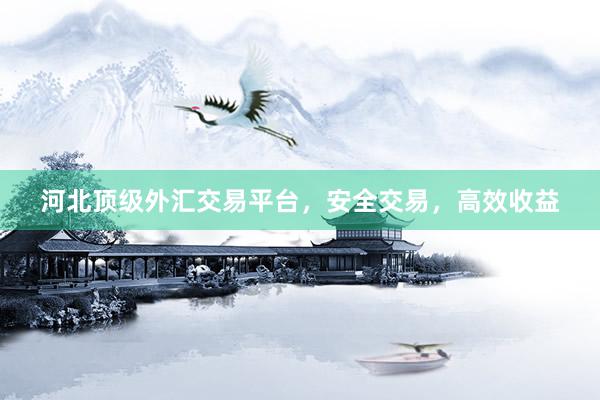 河北顶级外汇交易平台，安全交易，高效收益