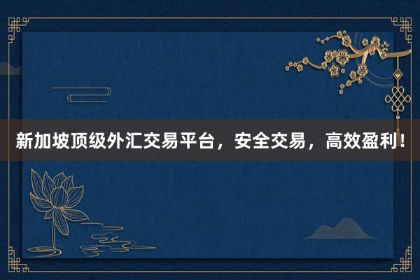 新加坡顶级外汇交易平台，安全交易，高效盈利！