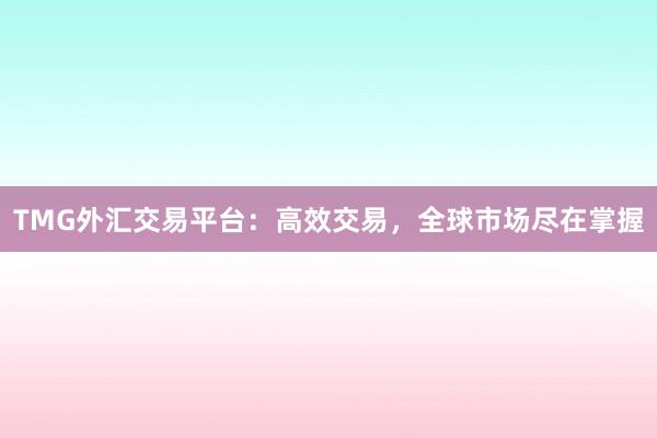 TMG外汇交易平台：高效交易，全球市场尽在掌握