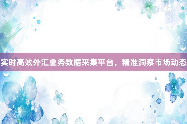 实时高效外汇业务数据采集平台，精准洞察市场动态