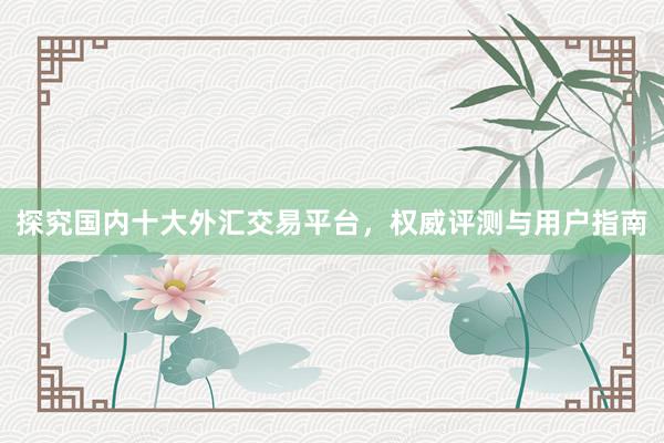 探究国内十大外汇交易平台，权威评测与用户指南